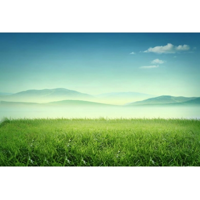 未来生物农药具有良好的市场前景